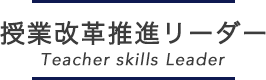 授業改革推進リーダー Teacher skills Leader