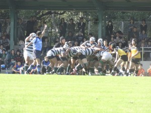 DSC02424